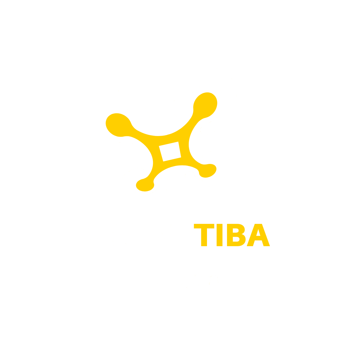 dronetiba.com.br